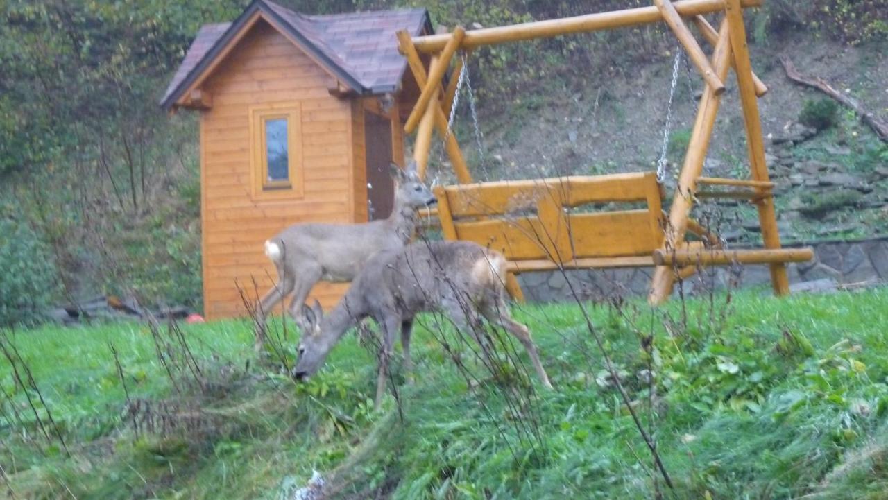 Domki Czyrna Szczyrk Bagian luar foto